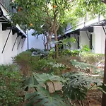 Plaza Alfalfa Centro