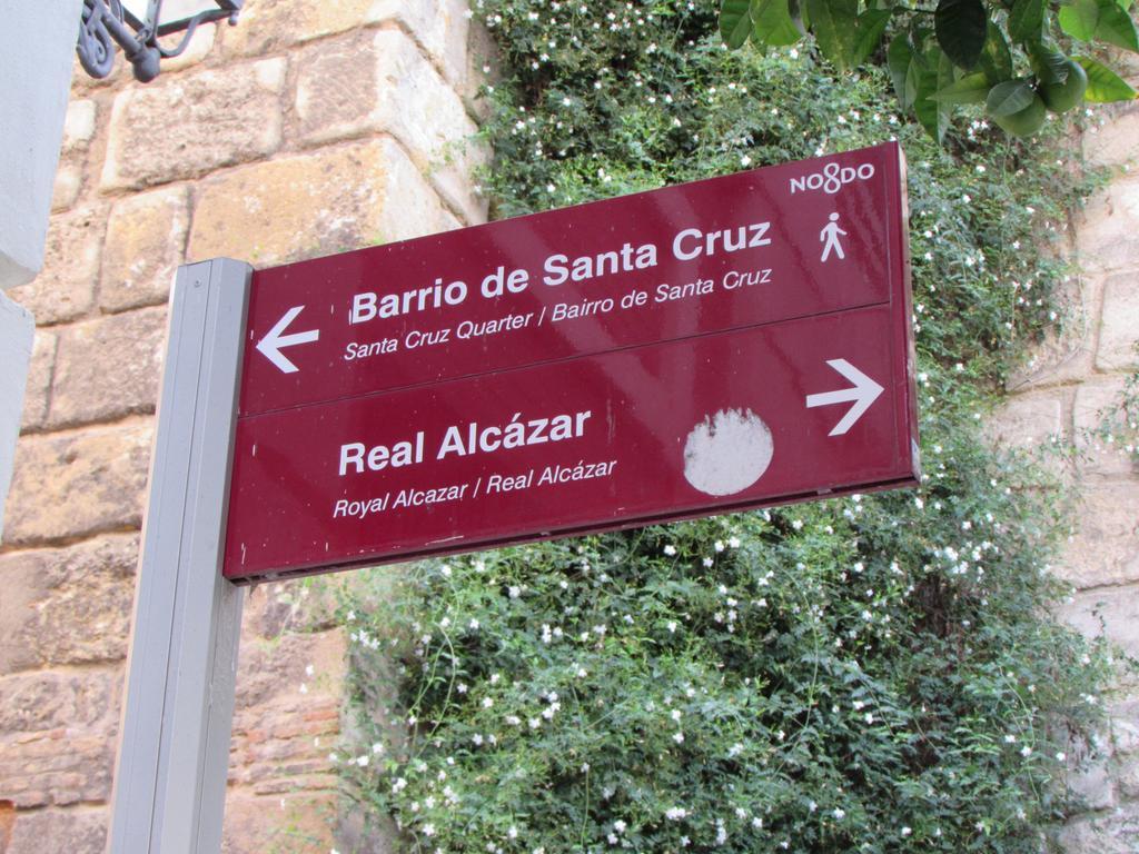 Plaza Alfalfa Centro Appartement *