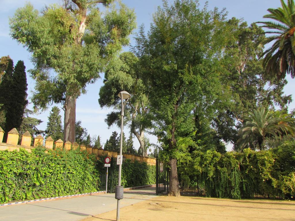 Plaza Alfalfa Centro Séville